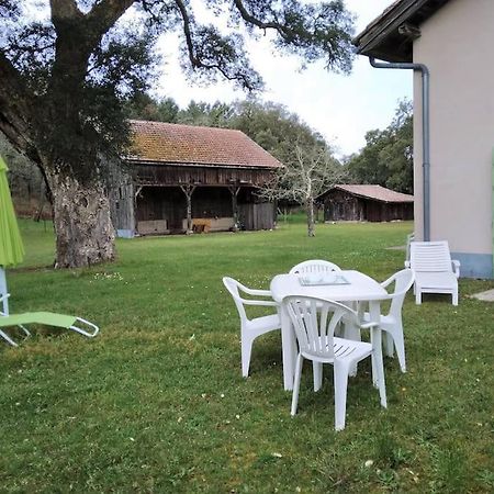 Ferienwohnung Le Petit Frouas Sud Vielle-Saint-Girons Exterior foto