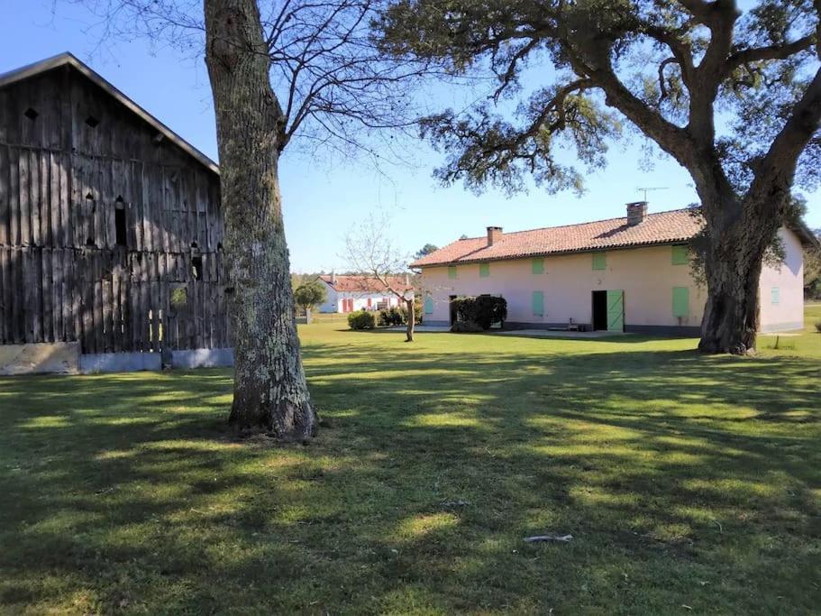 Ferienwohnung Le Petit Frouas Sud Vielle-Saint-Girons Exterior foto