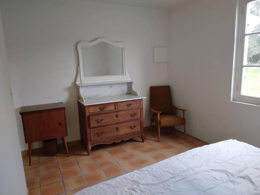 Ferienwohnung Le Petit Frouas Sud Vielle-Saint-Girons Exterior foto