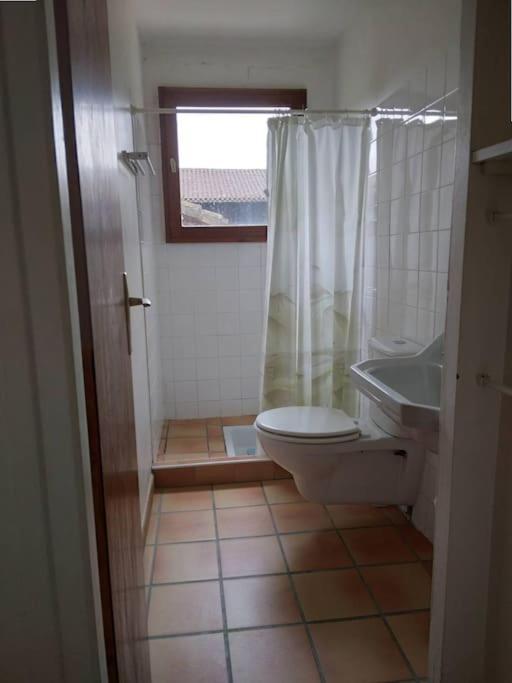 Ferienwohnung Le Petit Frouas Sud Vielle-Saint-Girons Exterior foto